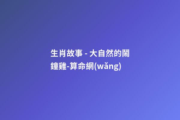 生肖故事 - 大自然的鬧鐘雞-算命網(wǎng)